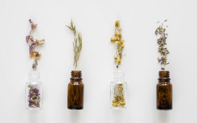 Prochainement -> Atelier Huiles Essentielles