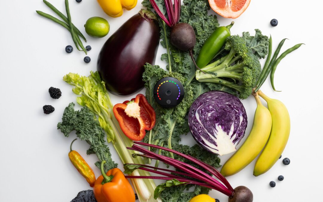 Prochainement -> Atelier Vitalité